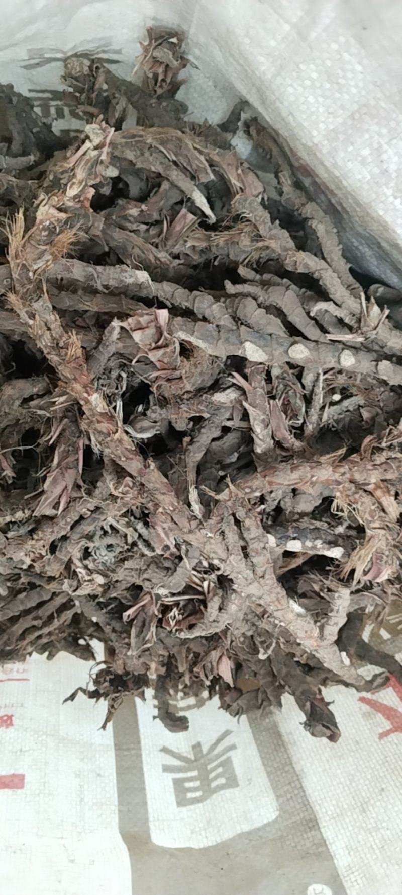 正宗石菖蒲随时可聊长期稳定供货品质保证