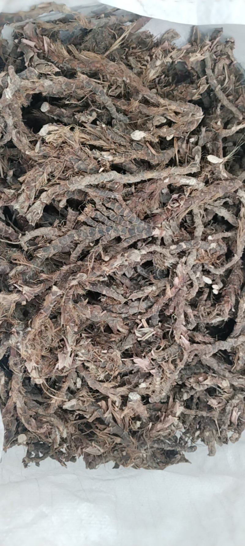 正宗石菖蒲随时可聊长期稳定供货品质保证