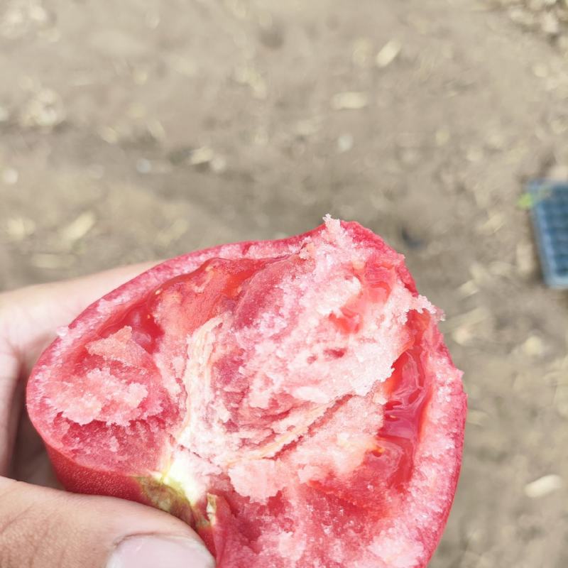普罗旺斯西红柿。