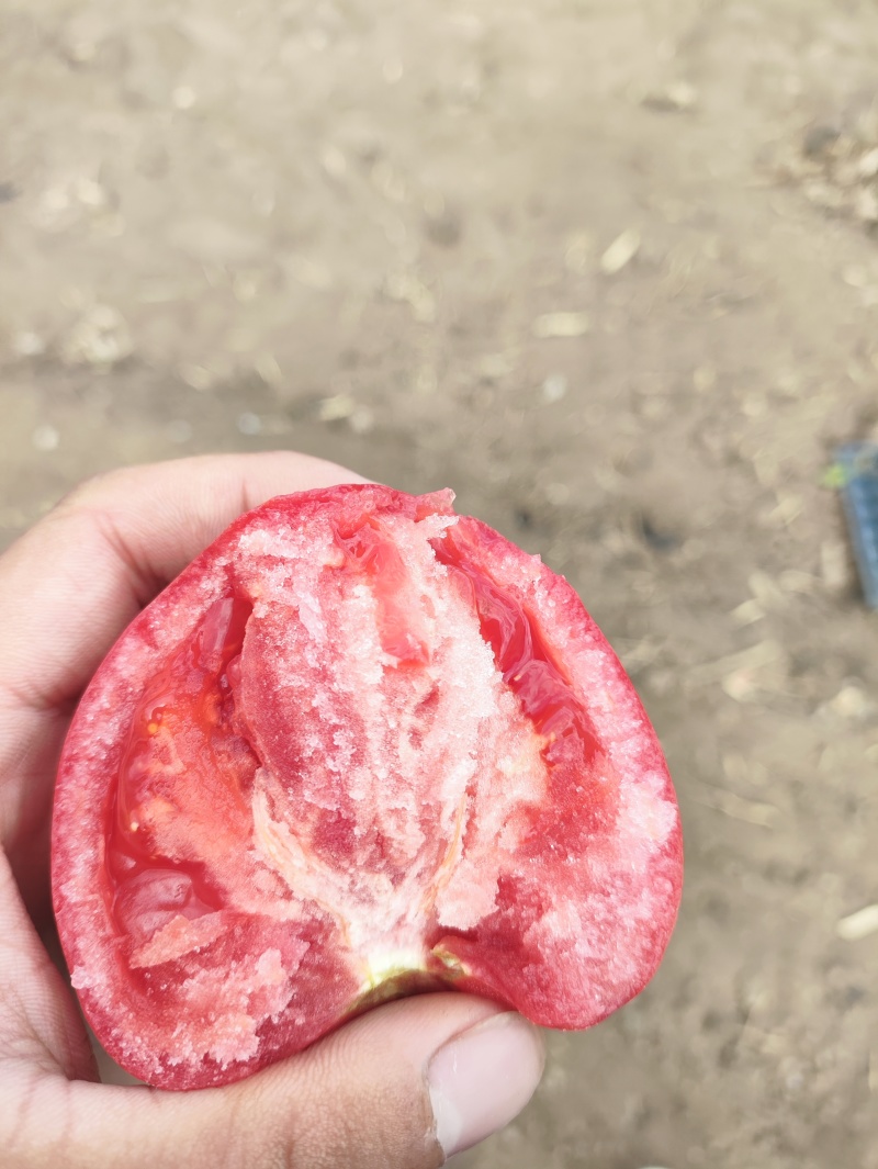 普罗旺斯西红柿。