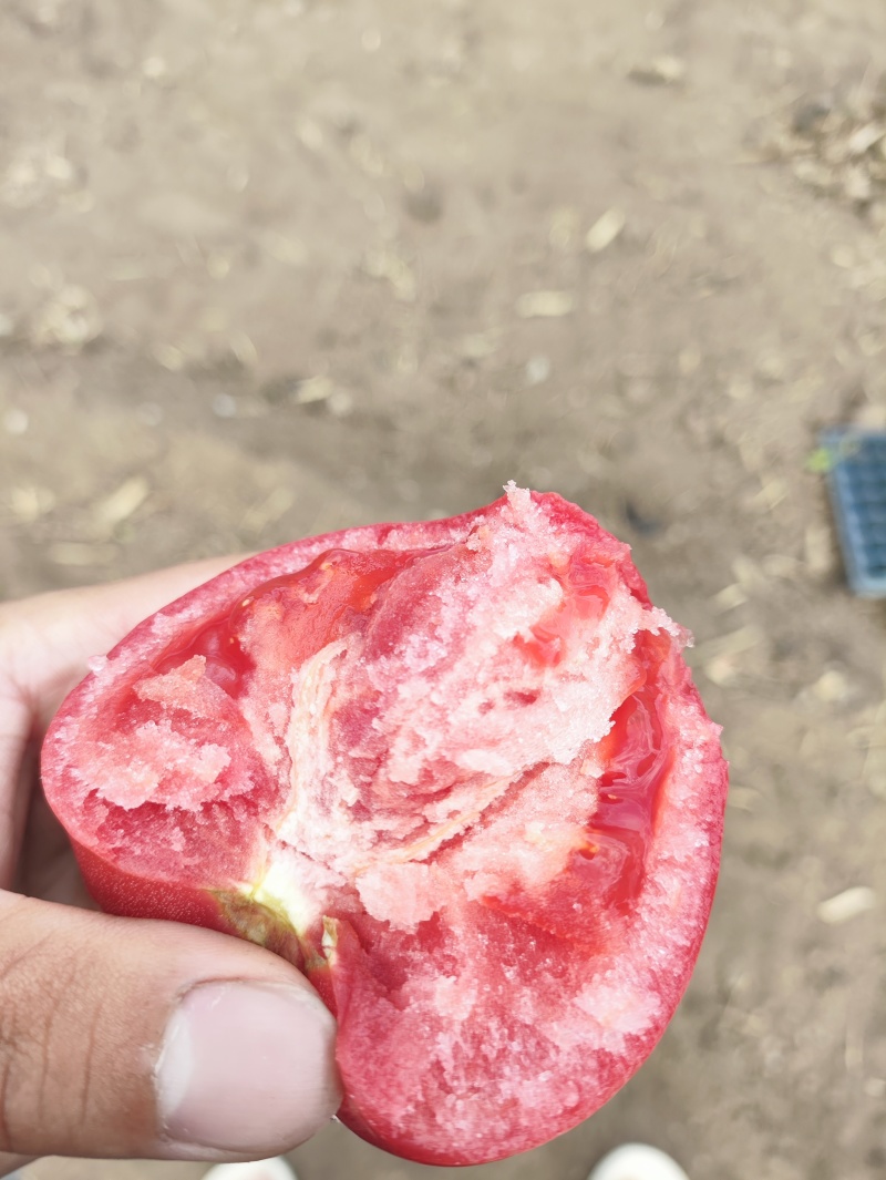 普罗旺斯西红柿。