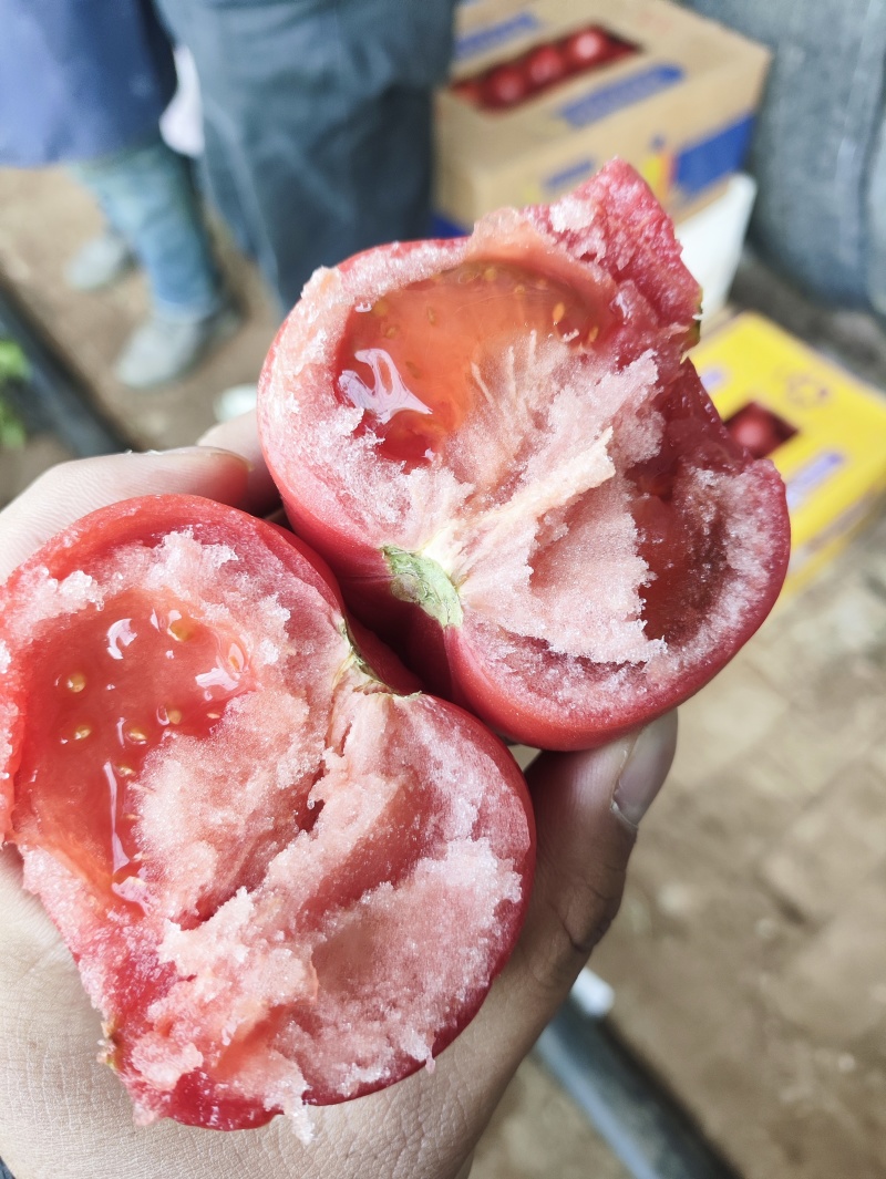 普罗旺斯西红柿。
