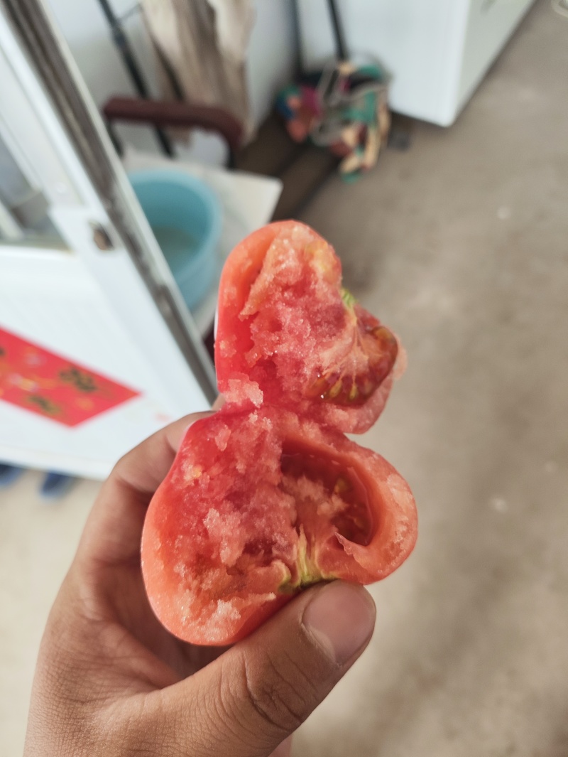 沙瓤大口感西红柿，普罗旺斯。儿时的味道，糖度9个。