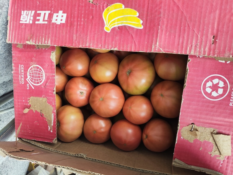 沙瓤大口感西红柿，普罗旺斯。儿时的味道，糖度9个。