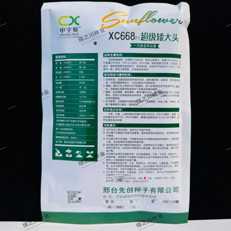 超级矮大头食葵种子xc668向日葵种子杂交大头食用葵种子