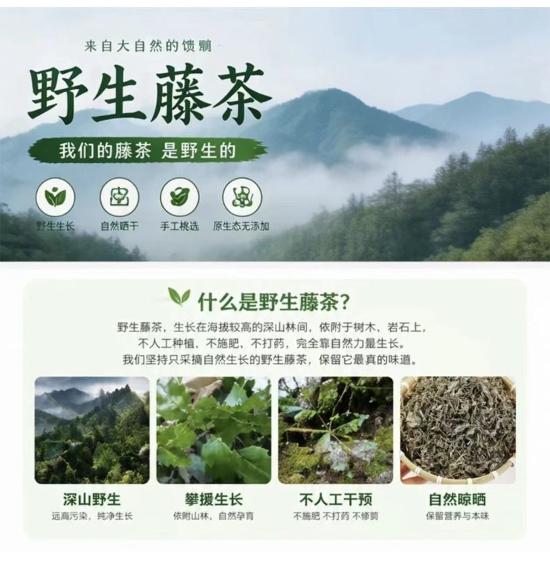 井冈山野生藤茶，又名长寿藤莓茶。源山燕源头一件代发