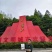 源山燕井冈山野生藤茶产地直发品质保证量大从优一手货源