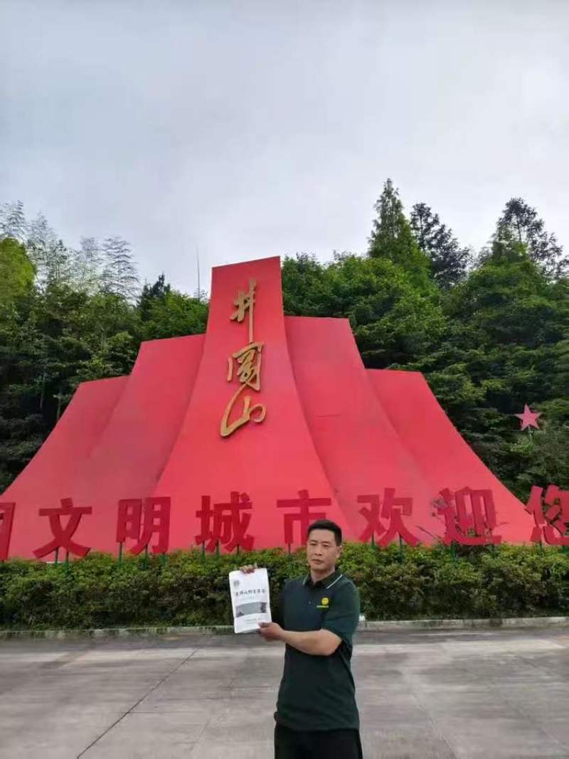 源山燕井冈山野生藤茶产地直发品质保证量大从优一手货源