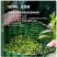 龙井茶绿茶批发电商用茶原料茶