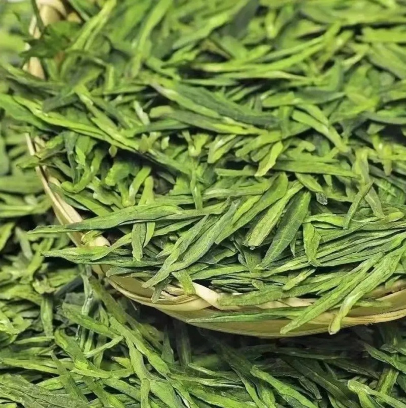 龙井茶绿茶批发电商用茶原料茶