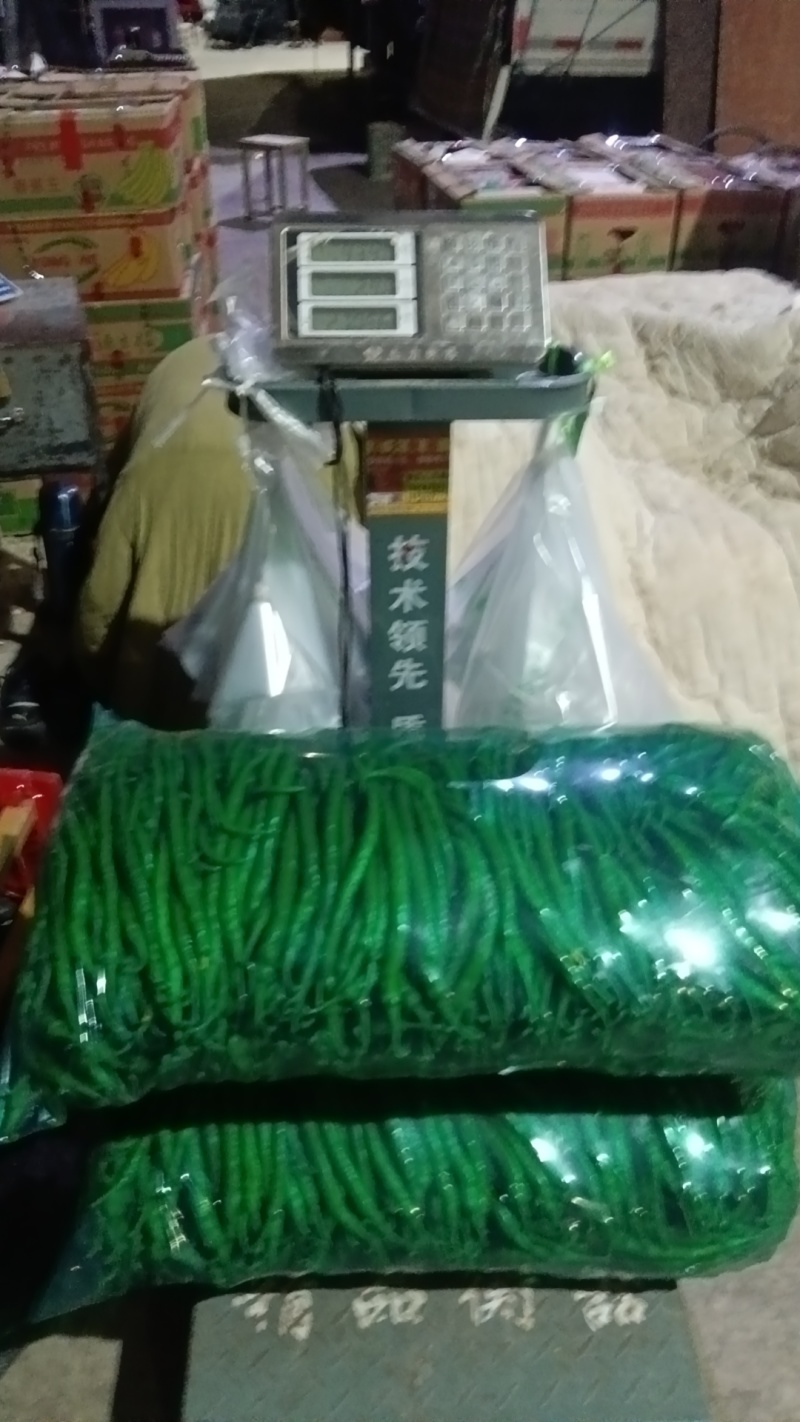 薄皮线椒