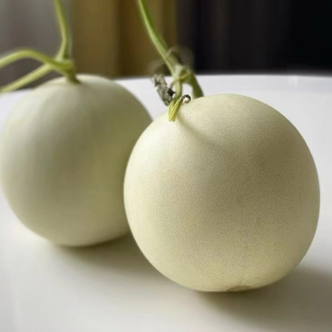 山东玉菇甜瓜一件代发，支持电商，团购商超，批发！