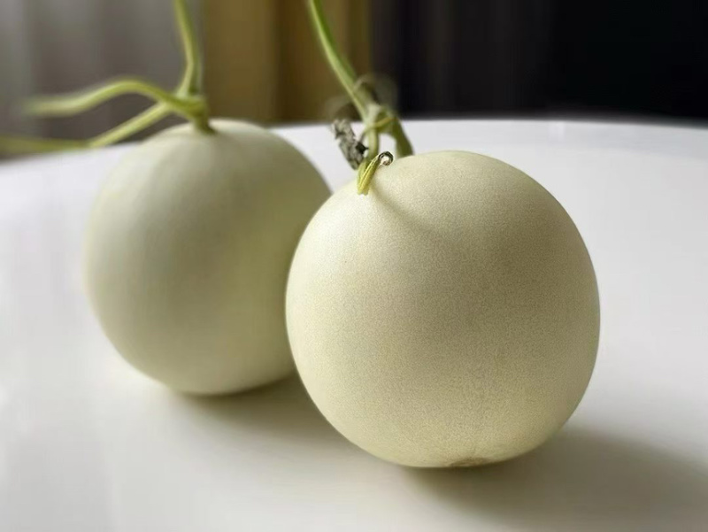 山东玉菇甜瓜一件代发，支持电商，团购商超，批发！