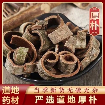 厚朴丝刮皮厚朴带皮厚朴川厚朴湖北厚朴高含量