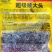 超级矮大头XC909油葵种籽抗倒伏杂交高油型向日葵种子