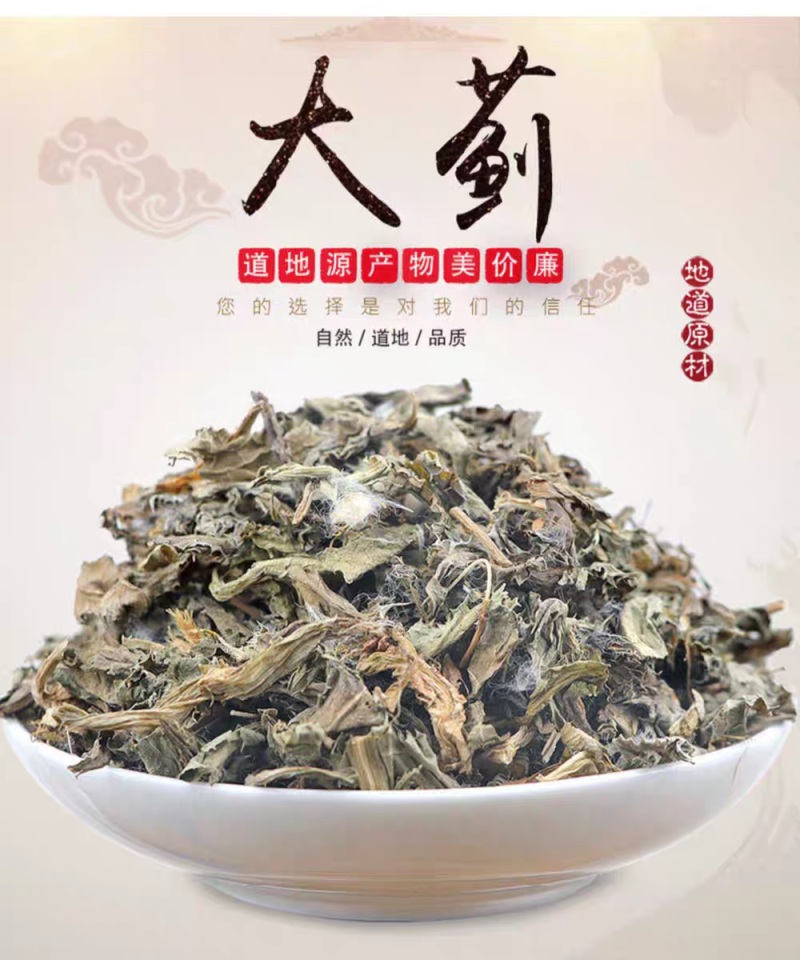包邮）大蓟草新鲜干货500g中药材另售白花刺儿菜中草药