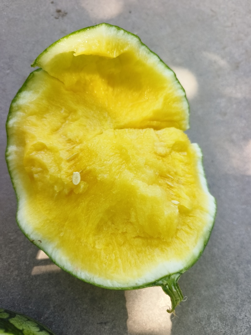 【推荐】江苏盐城特小凤，价格优惠，支持视频看货。