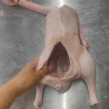 两光鹅，两光鹅，两光鹅