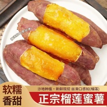 （榴莲蜜薯）广东红薯/电商直播/市场批发/货源供应