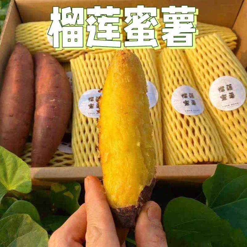 （榴莲蜜薯）广东红薯/电商直播/市场批发/一件代发