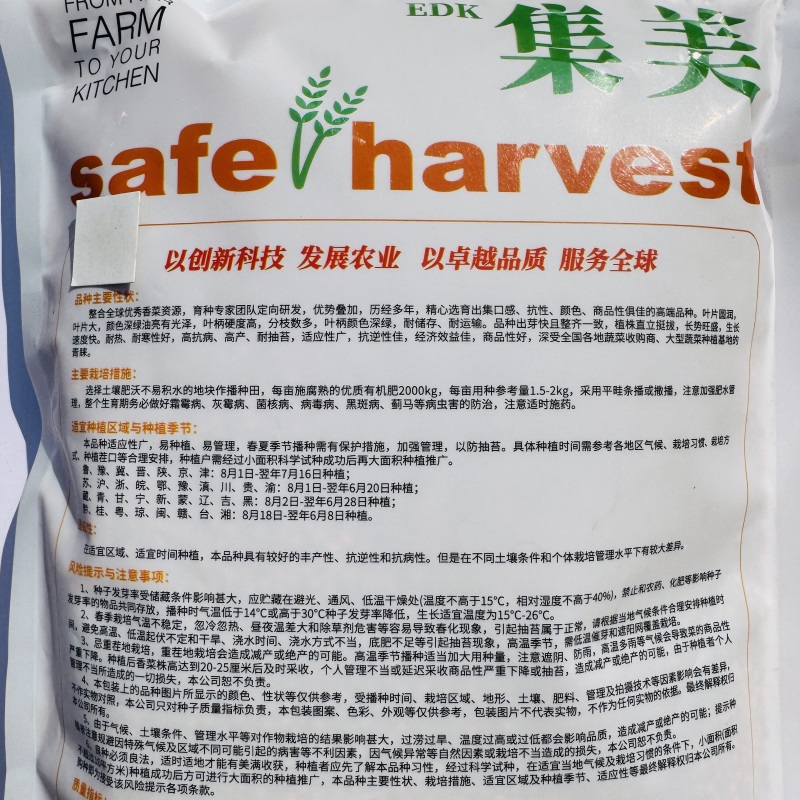 高端抗热大叶香菜种子集美香菜种籽油亮耐热耐寒四季芫荽种子