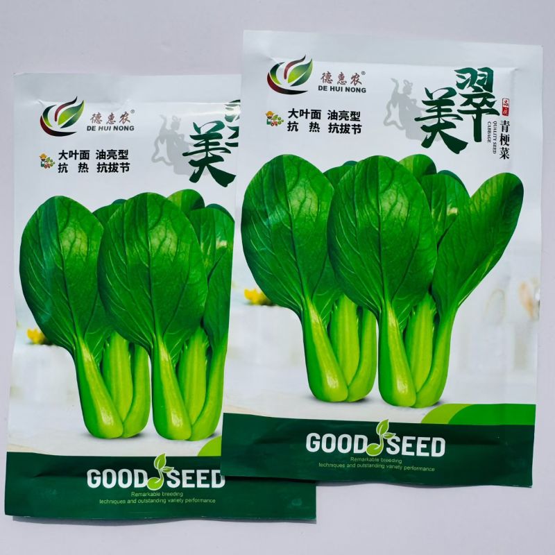 美翠杂交青梗菜种子油亮型大叶面叶柄绿耐热耐湿抗拔节产量高