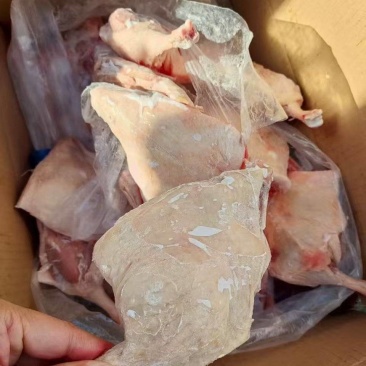 一级鸭边腿整车3550一吨