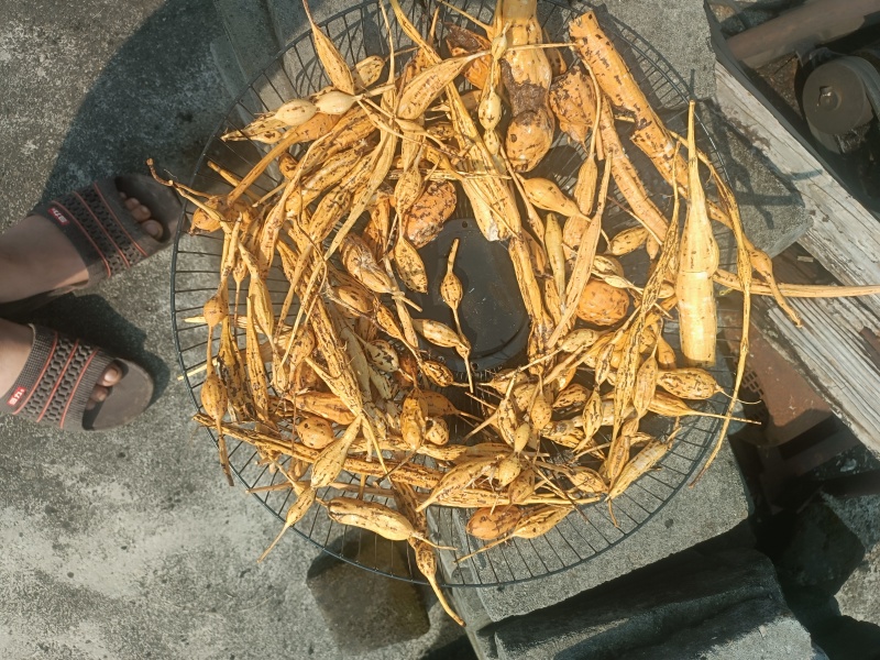 牛大力