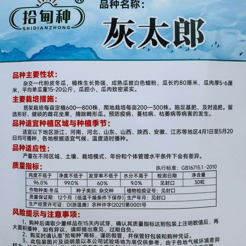 灰太狼粉皮大冬瓜种子高产抗病杂交一代肉厚致密空腔小优质冬