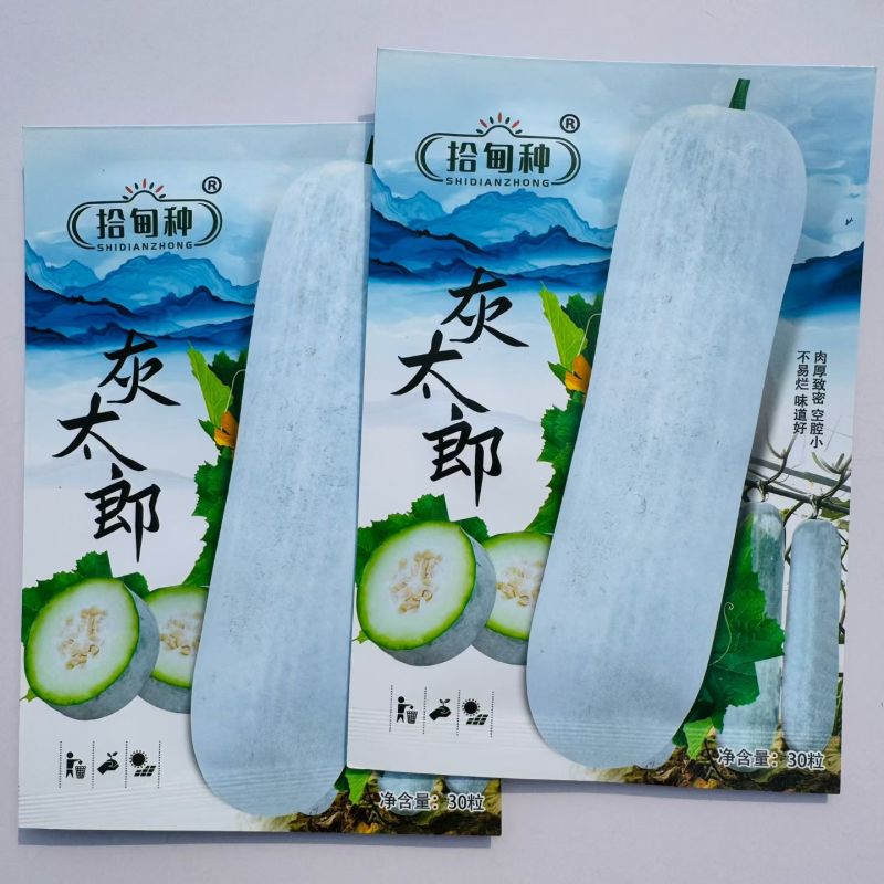 灰太狼粉皮大冬瓜种子高产抗病杂交一代肉厚致密空腔小优质冬