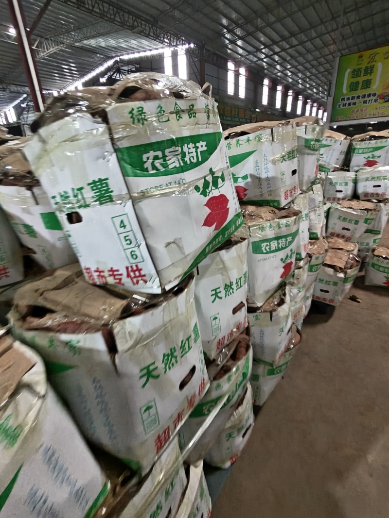 （西瓜红蜜薯）广东红薯电商直播一件代发