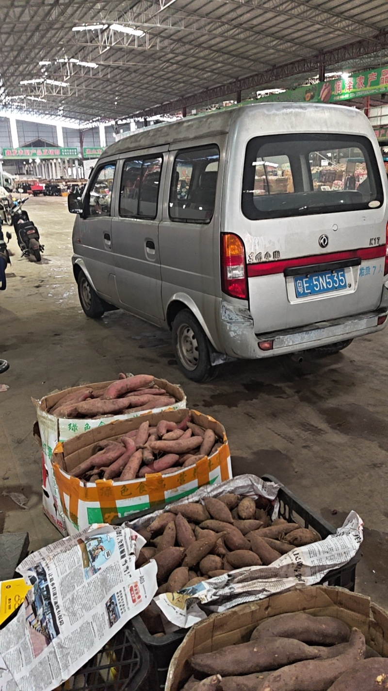 （西瓜红蜜薯）广东红薯电商直播一件代发
