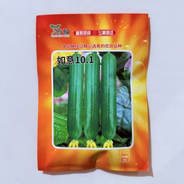 如意101丝瓜种子杂交短棒油绿丝瓜种子香味浓抗病耐低温弱