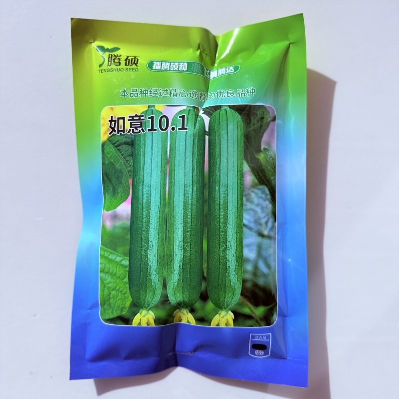 如意101丝瓜种子杂交短棒油绿丝瓜种子香味浓抗病耐低温弱