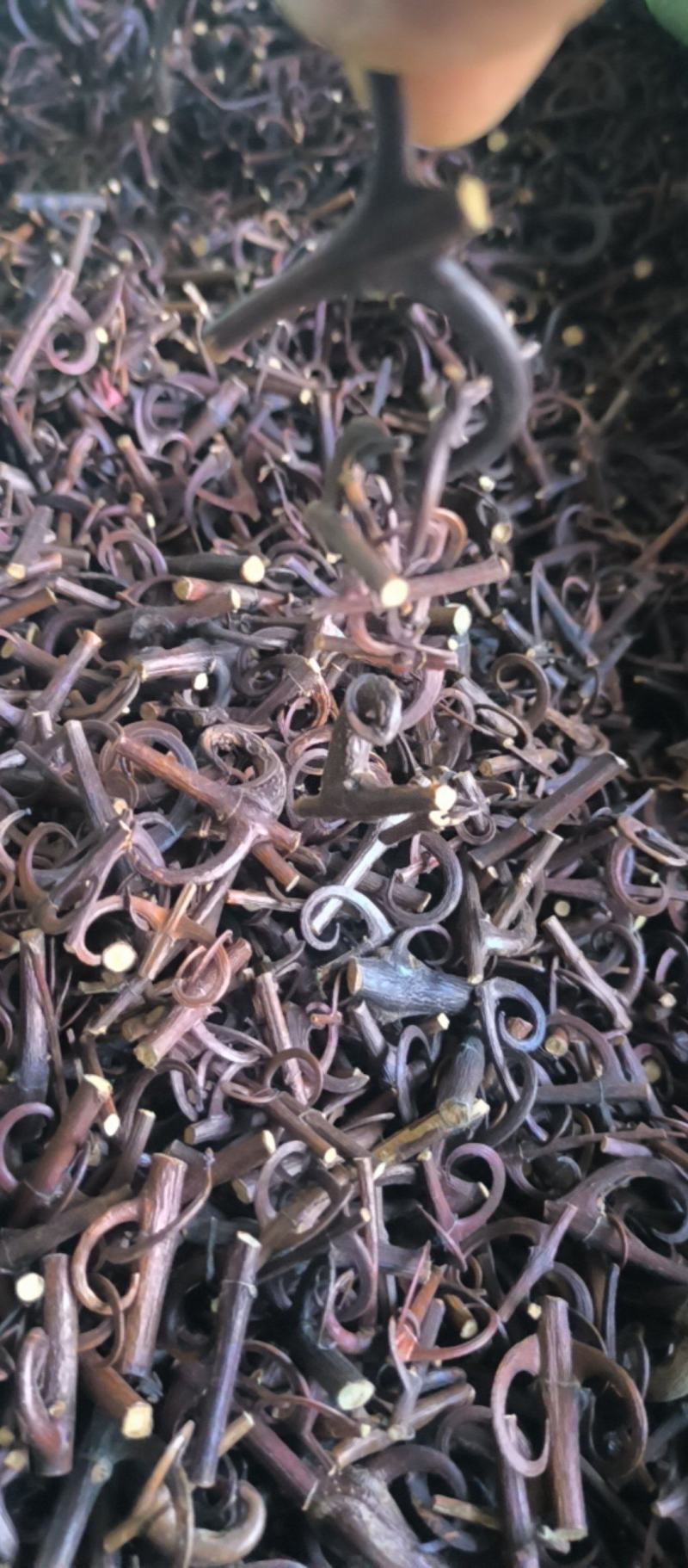 钩藤双钩批发各种规格钩藤质量保证量大从优