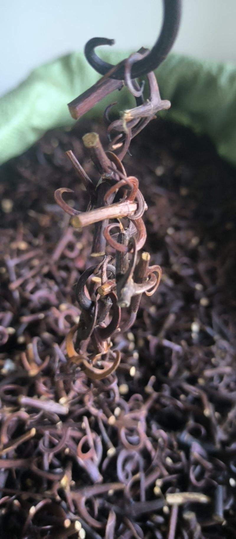 钩藤双钩批发各种规格钩藤质量保证量大从优
