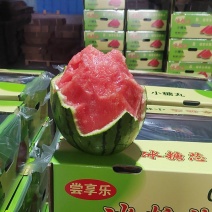精品小吊瓜，产地真供，现摘现发