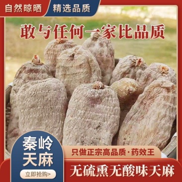 陕西秦岭干货天麻批发