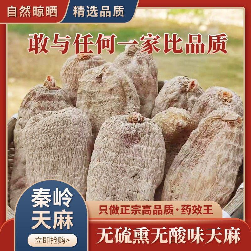 陕西秦岭干货天麻批发