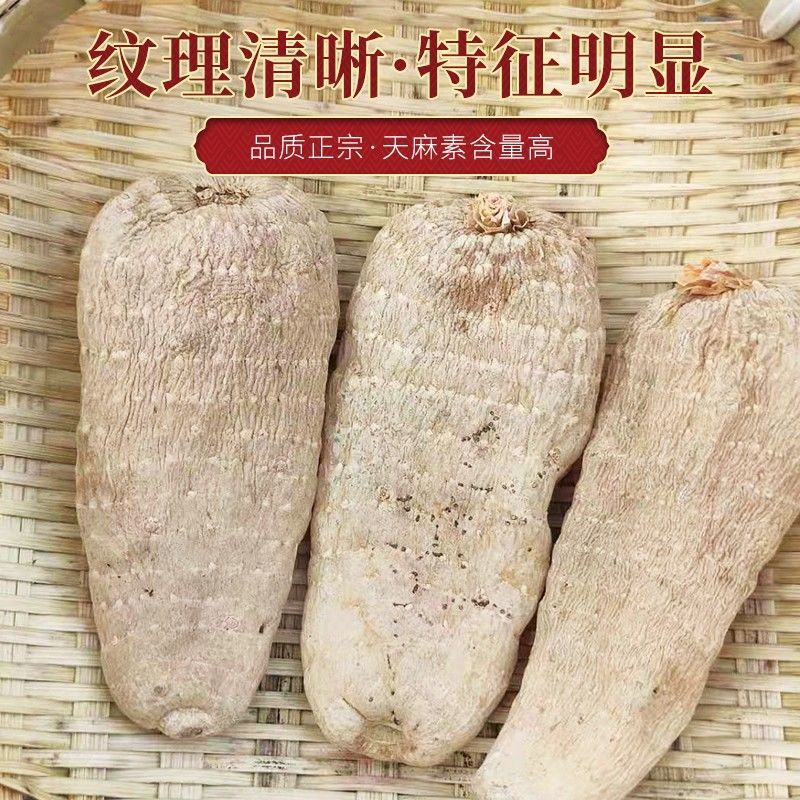 陕西秦岭干货天麻批发