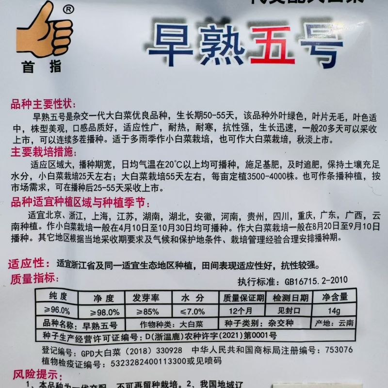 早熟五号白菜种子耐热快生大白菜农家大田春秋播易种杂交蔬菜