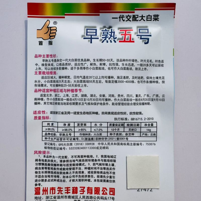 早熟五号白菜种子耐热快生大白菜农家大田春秋播易种杂交蔬菜