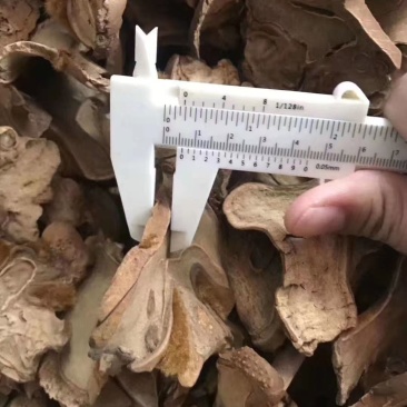 狗脊。有手续，可开发票