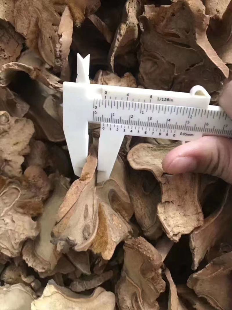 狗脊。有手续，可开发票