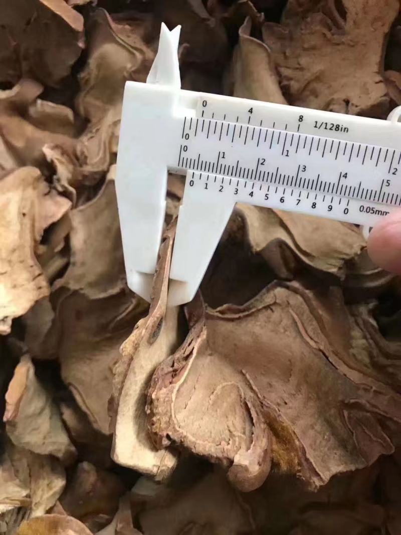 狗脊。有手续，可开发票