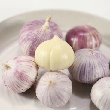 [精选]周口西华正宗好蒜现收现卖无中间商量大从优