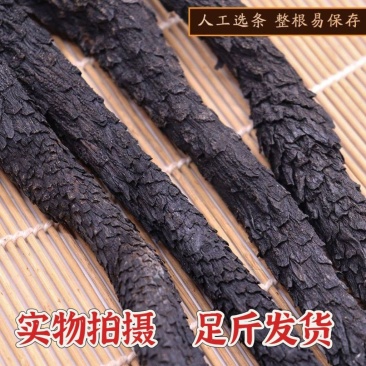 肉苁蓉