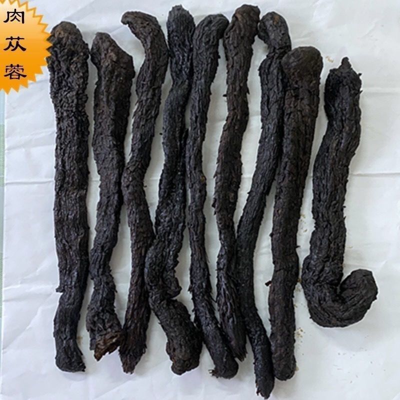 肉苁蓉