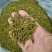 黄金芽茶叶精品茶叶大量供应可视频看货欢迎来电采购洽谈