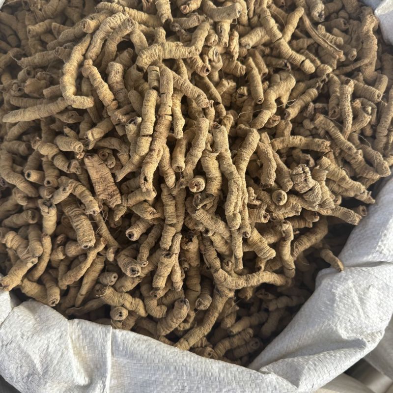 巴戟天中药材一等品大条巴戟天抽芯巴戟天正品巴戟天
